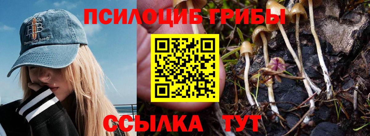 Галлюциногенные грибы Psilocybine cubensis  Вход с VPN  Карпинск  Галлюциногенные грибы MAGIC MUSHROOMS 